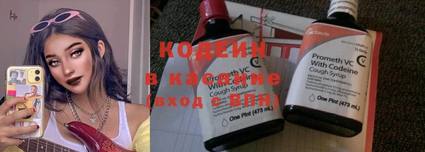 ешки Инта