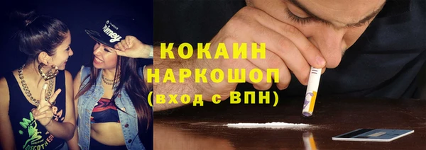 ешки Инта