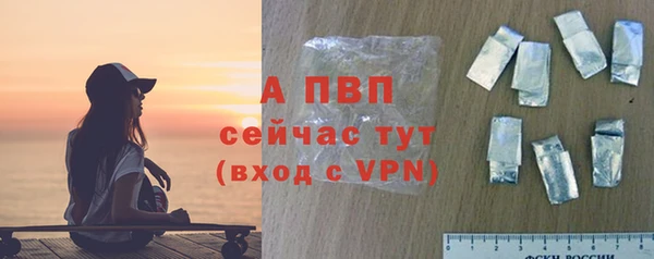 стаф Зеленокумск