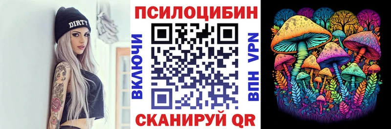 Купить где  Дмитриев  Галлюциногенные грибы мухоморы 