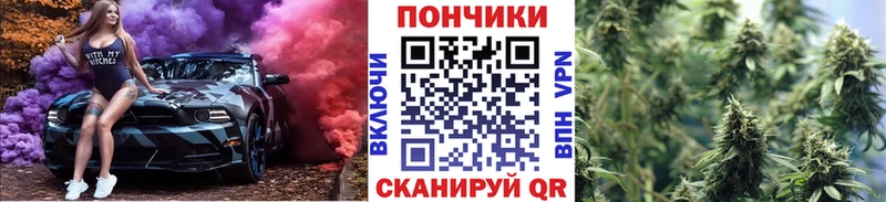 Канабис Amnesia  Купить закладки  Дмитриев 